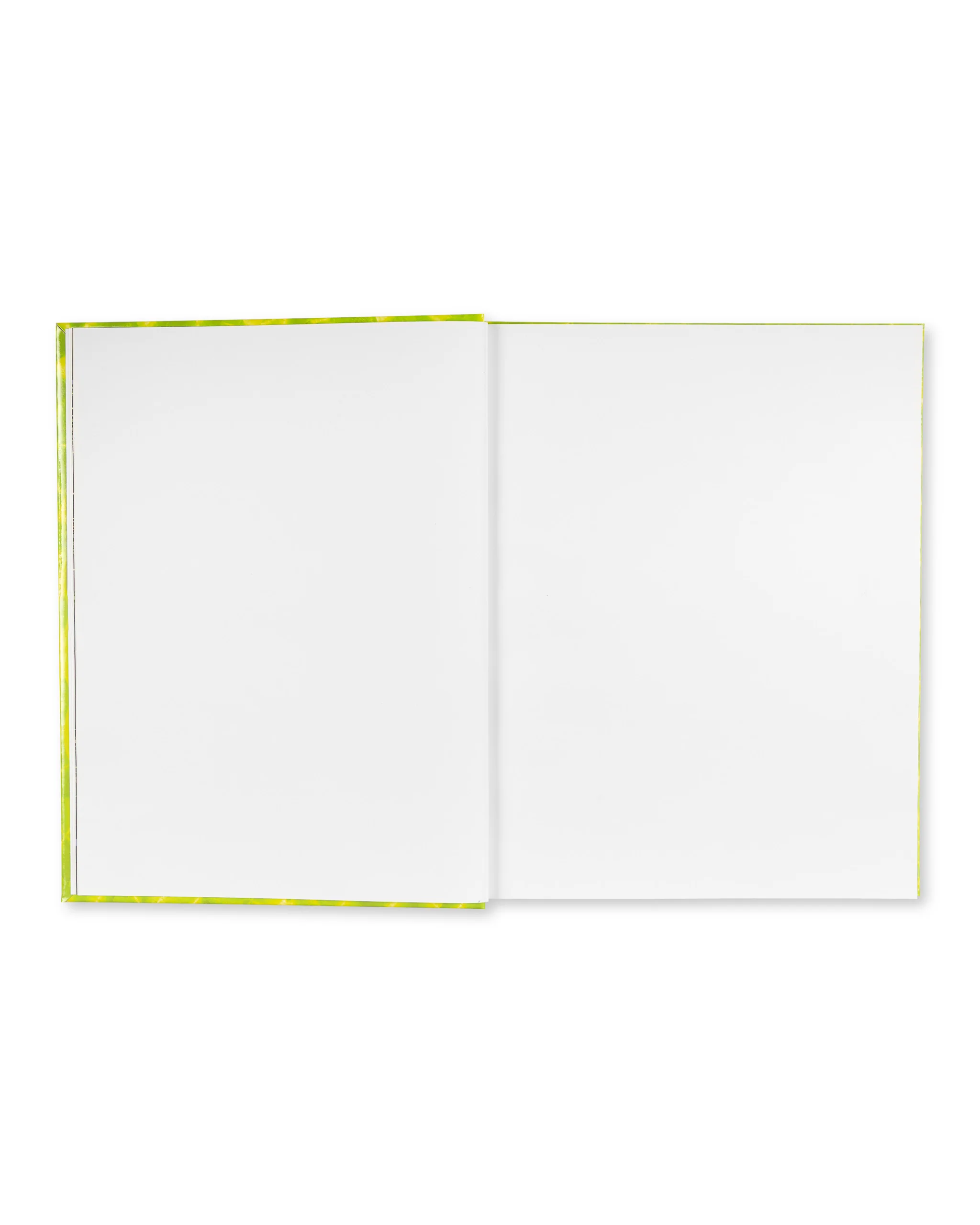 BIGTIME WORLD BOOK RECORDS 2026 - Image 3